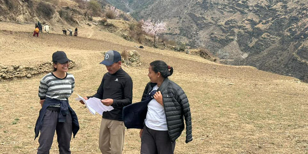 आठ सय रोपनी जग्गामा रैथाने बाली लगाउन सुरु